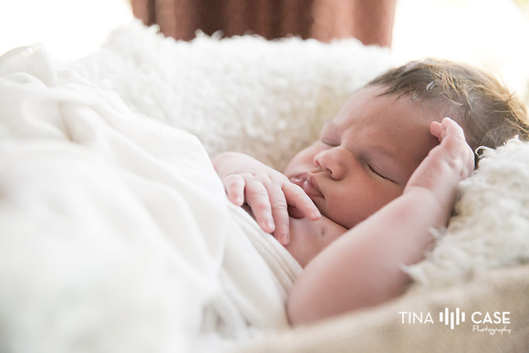 “Top Saratoga California Photographer” “Maternity Photographer” “Newborn Photographer” “Best Saratoga CA Photographer” “Best Cupertino Photographer” “Saratoga Photographer”