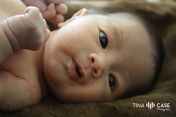 “Top Saratoga California Photographer” “Maternity Photographer” “Newborn Photographer” “Best Saratoga CA Photographer” “Best Cupertino Photographer” “Saratoga Photographer”