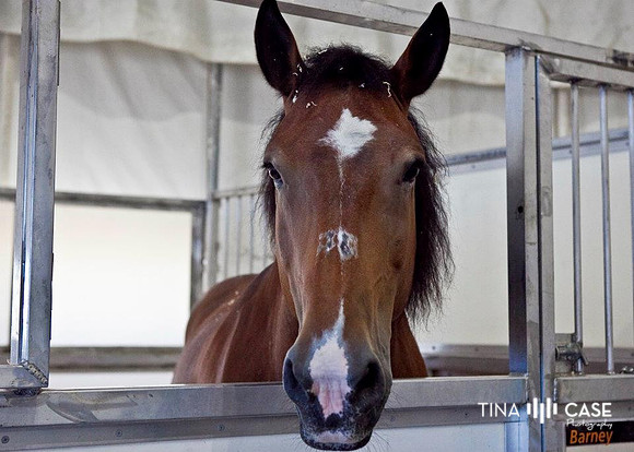 “Top Saratoga California Photographer” “Engagement Photographer” “Head Shot Photographer” “Best Saratoga CA Photographer” “Best Cupertino Photographer” “Saratoga Photographer”