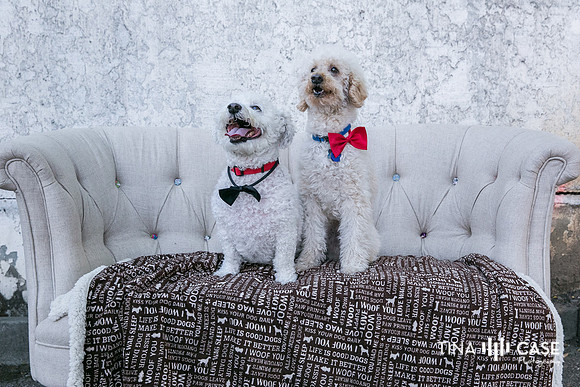 “Top Saratoga California Photographer” “Engagement Photographer” “Head Shot Photographer” “Best Saratoga CA Photographer” “Best Cupertino Photographer” “Saratoga Photographer”