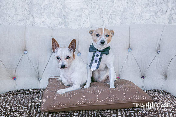 “Top Saratoga California Photographer” “Engagement Photographer” “Head Shot Photographer” “Best Saratoga CA Photographer” “Best Cupertino Photographer” “Saratoga Photographer”