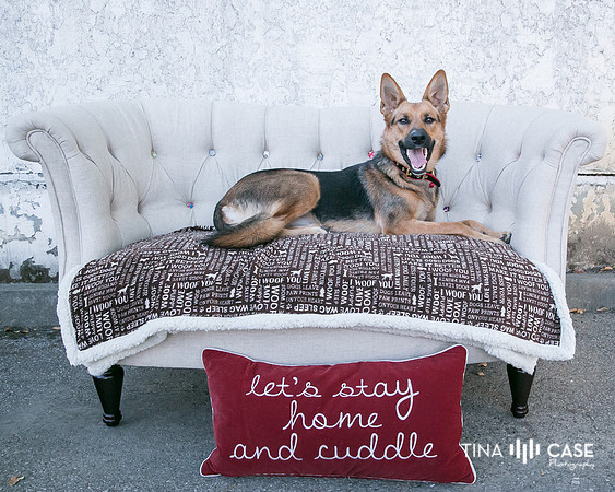 “Top Saratoga California Photographer” “Engagement Photographer” “Head Shot Photographer” “Best Saratoga CA Photographer” “Best Cupertino Photographer” “Saratoga Photographer”