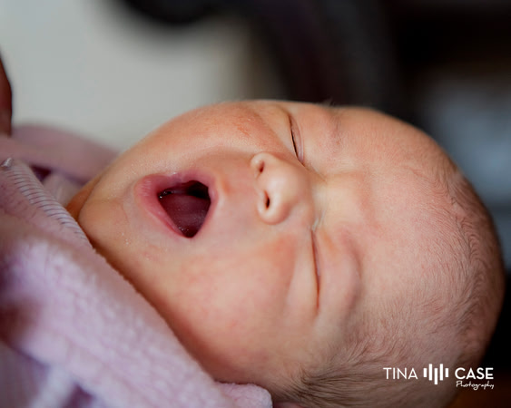 “Top Saratoga California Photographer” “Maternity Photographer” “Newborn Photographer” “Best Saratoga CA Photographer” “Best Cupertino Photographer” “Saratoga Photographer”