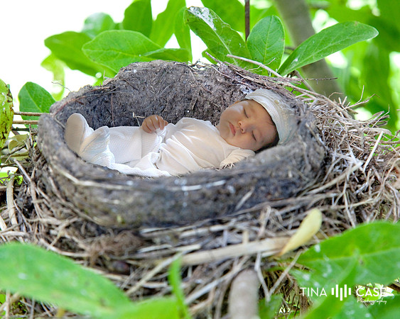 “Top Saratoga California Photographer” “Maternity Photographer” “Newborn Photographer” “Best Saratoga CA Photographer” “Best Cupertino Photographer” “Saratoga Photographer”