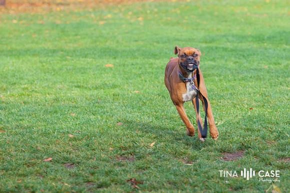 “Top Saratoga California Photographer” “Engagement Photographer” “Head Shot Photographer” “Best Saratoga CA Photographer” “Best Cupertino Photographer” “Saratoga Photographer”