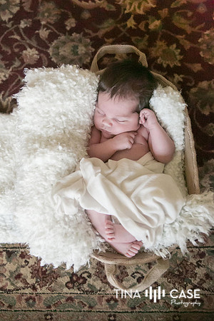 “Top Saratoga California Photographer” “Maternity Photographer” “Newborn Photographer” “Best Saratoga CA Photographer” “Best Cupertino Photographer” “Saratoga Photographer”