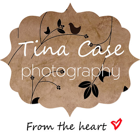 Tina Case Photo Logo w heart