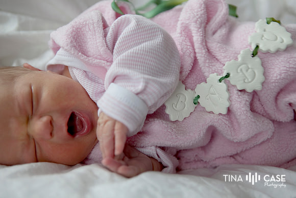 “Top Saratoga California Photographer” “Maternity Photographer” “Newborn Photographer” “Best Saratoga CA Photographer” “Best Cupertino Photographer” “Saratoga Photographer”